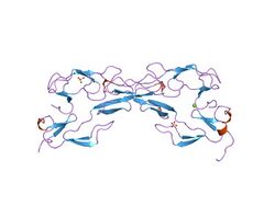 PDB 1ext EBI.jpg