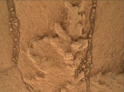 PIA18610-MarsCuriosityRover-PahrumpHillsOutcrop-Mahli-Sol758-20140923.jpg