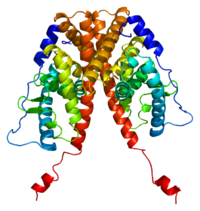 Protein ESR1 PDB 1a52.png