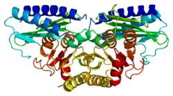 Protein IMPA2 PDB 2czh.png