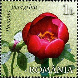 Stamps of Romania, 2011-47.jpg