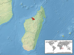 Map detailing the geographic distribution of Voeltzkowia mira skink in Madagascar