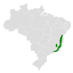 Cercomacra brasiliana map.svg