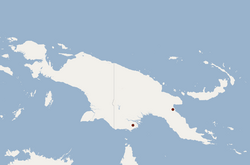 Distribution of Nyctophilus shirleyae.png