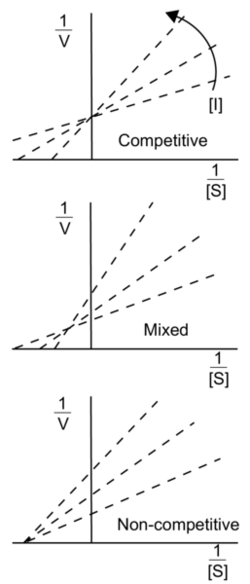 2D plots of 1/[S] concentration (x-axis) and 1/V (y-axis) demonstrating that as inhibitor concentration is changed, competitive inhibitor lines intersect at a single point on the y-axis, non-competitive inhibitors intersect at the x-axis, and mixed inhibitors intersect a point that is on neither axis