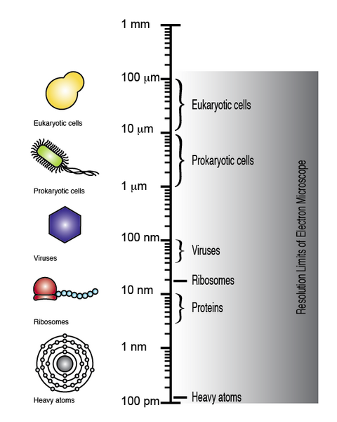 File:Limits of Electron Microscope.png