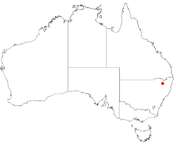 Macrozamia humilis Dist Map13.png