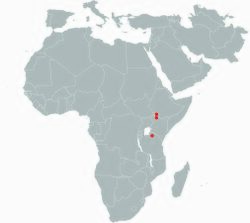 Paranthropus aethiopicus Africa.jpg