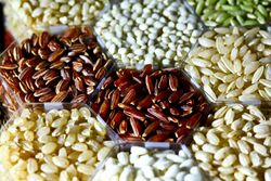 Rice grains (IRRI).jpg