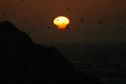 Sunset Mirage 03.jpg
