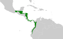 Thamnistes anabatinus map.svg
