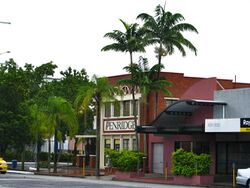 Veitchia joannis in Cairns, Queensland.jpg