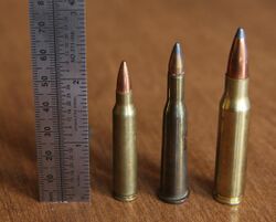 .22 savage with .223 Rem and .308 Win.JPG