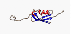 1a5r SUMO-1 protein.gif