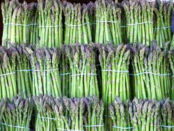 Asparagus image.jpg