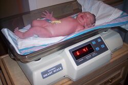 Baby being weighed.jpg