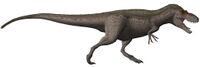 Daspletosaurus torosus steveoc flipped.jpg