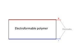 Elément simple matériau électroformable.jpg