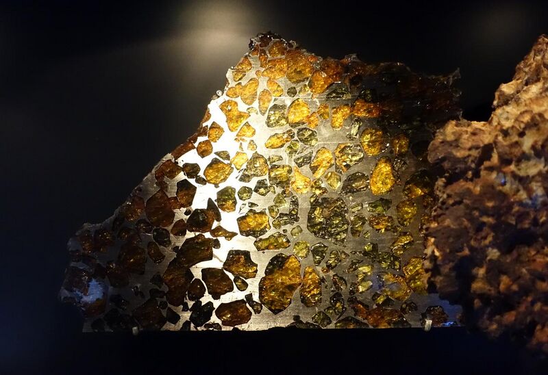 File:Esquel (fallen 1951 in Argentina), Stein-Eisen-Meteorit (Pallasit) - meteorites - Museum fur Naturkunde, Berlin - DSC00109.JPG