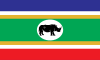 Flag of Equatoria