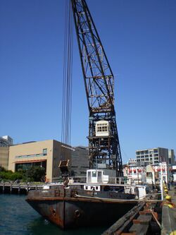 Hikitia crane ship.JPG