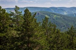 Kuysumy mountains and Torgashinsky range. View from viewing platform on Kashtakovskaya path (Stolby reserve, Krasnoyarsk city) 4Y1A8757 (28363120875).jpg