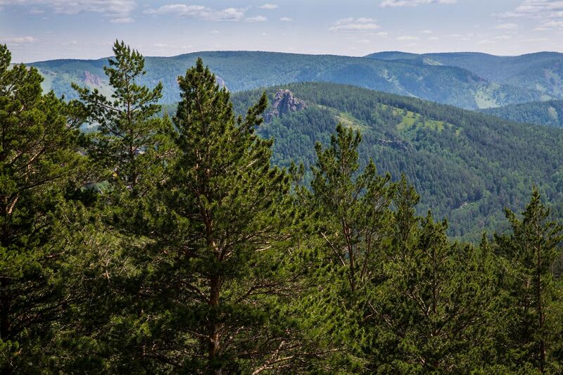 File:Kuysumy mountains and Torgashinsky range. View from viewing platform on Kashtakovskaya path (Stolby reserve, Krasnoyarsk city) 4Y1A8757 (28363120875).jpg