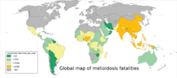 Melioidosis world map distribution.svg