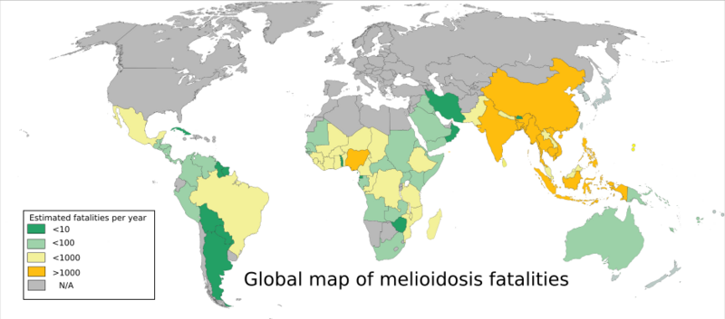 File:Melioidosis world map distribution.svg