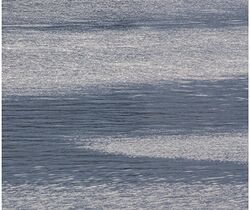Ocean surface slick (cropped).jpg