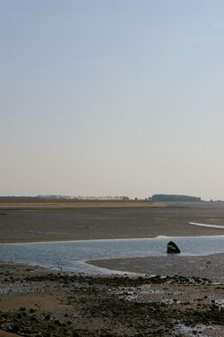 Oosterschelde near Stavenissepolder.jpg