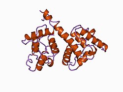 PDB 1aoa EBI.jpg