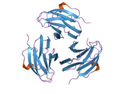 PDB 1pm4 EBI.jpg