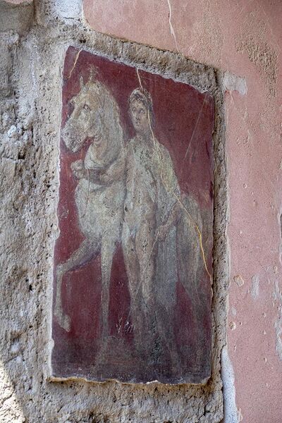 File:Pompeii Dioscurus Mural 1.jpg