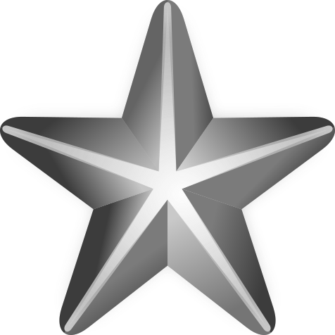 File:Silver-service-star-3d.svg