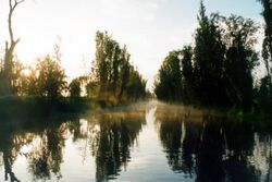 Sunrise in Xochimilco (Amanecer en Xochimilco) 2.jpg