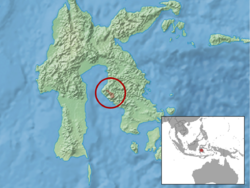 Taeromys microbullatus distribution.png