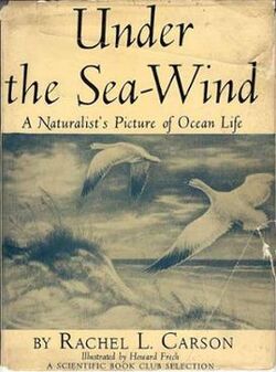 Under the Sea Wind (Cover).jpg