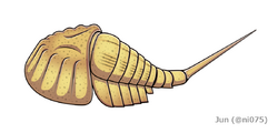 20200922 Bunodes lunula.png