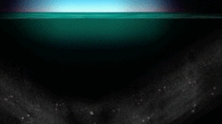 Animation of diel migration.gif
