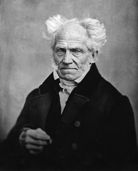 File:Arthur Schopenhauer by J Schäfer, 1859b.jpg