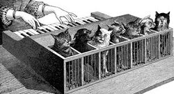 Cat piano 1883.jpg