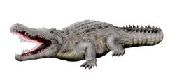 Crocodylus anthropophagus NT.jpg