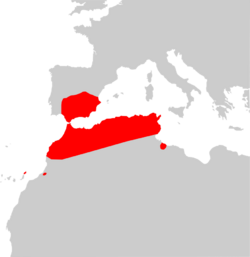 Eptesicus isabellinus range Map.png