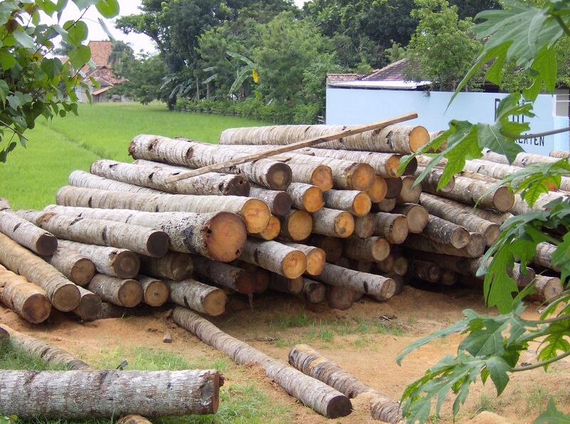 File:Gelugu (coconut wood) in Klaten, Java.jpg