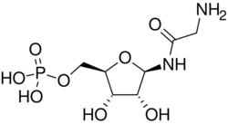 Glycineamide ribonucleotide.svg