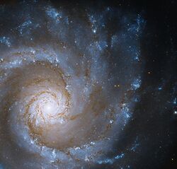 Hubble Looks at a Face-On Grand Spiral.jpg