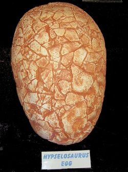 Hypselosaurus egg 2.jpg