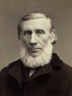 John Tyndall portrait mid career.jpg