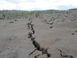 Kamoamoa 2011-03-10 ground cracks.jpg